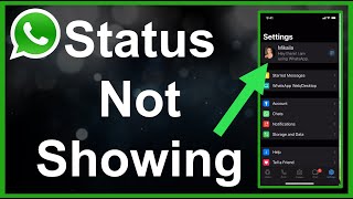 WhatsApp Status Not Showing FIXED [upl. by Willmert]