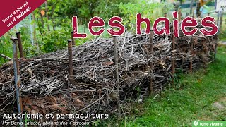 Les haies  Autonomie et permaculture avec David [upl. by Sixele]