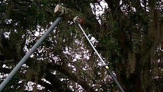 Cut Tree Branches Over House Without Hitting the Roof [upl. by Wilmette]