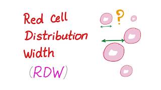 Red Cell Distribution Width RDW  What Does This Lab Test REALLY Mean [upl. by Neela]