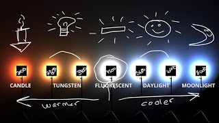 White Balance amp Kelvin Color temp explained 💡 [upl. by Verner]