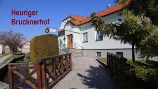 Heuriger Brucknerhof Weinbau Herzog  Thermenregion  Bad Vöslau nahe Baden bei Wien [upl. by Ailecra]