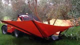 Olive Harvesting with a Tree Shaker  Jared Gulian [upl. by Buxton585]