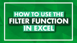 How to Use the FILTER Function in Excel  Excel FILTER Tutorial [upl. by Suzanne]