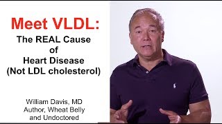 Metabolism  Lipoprotein Metabolism  Chylomicrons VLDL IDL LDL amp HDL [upl. by Nnahs]