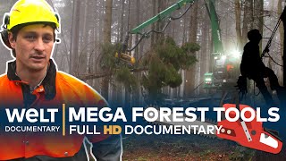 TREACHEROUS TIMBER  Loggers And Their Mega Tools  Full Documentary [upl. by Ottilie722]