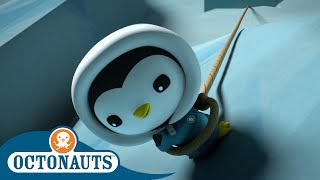 Octonauts  Operation Deep Freeze  Full Episodes  Cartoons for Kids [upl. by Lashar]