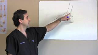 Cubital Tunnel Syndrome AKA Ulnar Nerve Entrapment  HOWTO naturally heal and prevent [upl. by Eldwin]