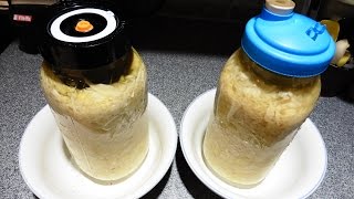 Fermented Cabbage THE EASY METHOD Sauerkraut  Ferment Vegetables  Easy Fermentation [upl. by Kameko384]