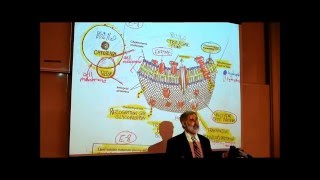 ANATOMY REVIEW OF CYTOLOGY PART 2 by Professor Fink [upl. by Sivatnod182]