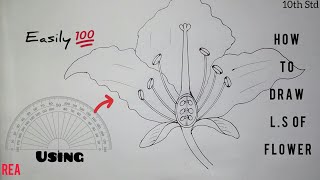 How to draw Longitudinal Section of Flower  Class 10 [upl. by Mulcahy]