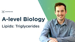 Lipids Triglycerides  Alevel Biology  OCR AQA Edexcel [upl. by Glimp]