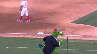 The Phillie Phanatic  quotNew York New Yorkquot [upl. by Car]