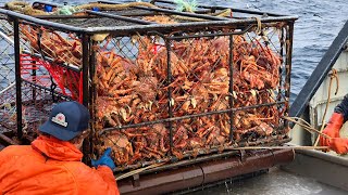 Amazing Catch Hundreds Tons Alaska King Crab With Modern Big Boat  Amazing Crab Fishing on the sea [upl. by Eleirbag]