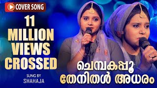 Chembakappoo Thenidhal Adharam  Cover song  shahaja  Antony Raphael [upl. by Matthew]