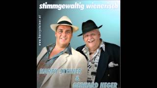 Wiener Schmankerln der Heurigenmusik [upl. by Lyndell]