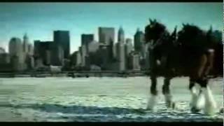 Budweiser 911 tribute commercial [upl. by Schubert482]