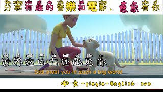 【Pop Chinese song】世界这么大还是遇见你Still meet you in such a big world 動態歌詞VietsubPinyin English Lyrics [upl. by Suhsoj]