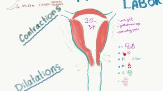 STAGES OF LABORLABOUR  NCLEX REVIEW [upl. by Tekcirc]