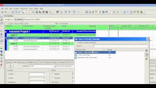 Primavera P6 changing calendars for all activities [upl. by Saltzman735]