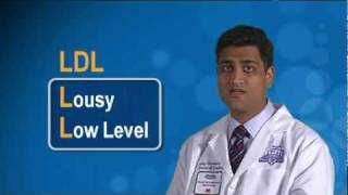 More Important than LDL Cholesterol The TGHDL Ratio Part 2 [upl. by Lucilia]