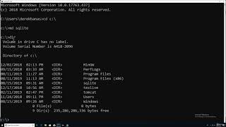 Install SQLite3 on Windows [upl. by Darooge]