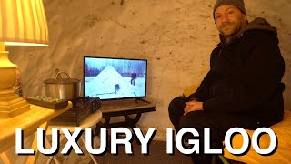 Luxury Snow Fort Camping IglooQuinzhee [upl. by Nigel815]