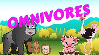 Omnivores  Types of Animal  Science for Kids [upl. by Ramel]