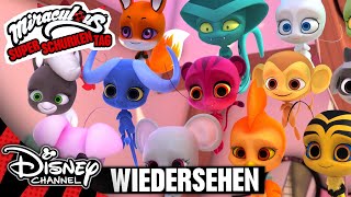 Dürfen alle Kwamis mit  MIRACULOUS 🐞🐱 [upl. by Winchester]