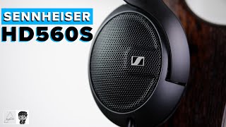 Sennheiser HD 560S Review  Best headphone under 200 [upl. by Hightower]