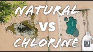 Natural Pools BEFORE AND AFTER Biological Filtration Swim Ponds VS Chlorine Pools [upl. by Wilfrid66]