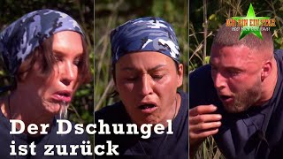 Preview auf die diesjährige DschungelStaffel 🥳 Das erwartet unsere Stars  1  Dschungelcamp 2022 [upl. by Coben605]