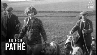 Irish Wolfhounds 1933 [upl. by Jann]