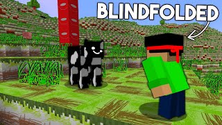 I Remade Every Texture In Minecraft BLINDFOLDED [upl. by Demmy]