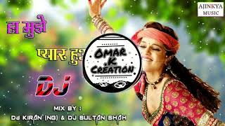 Mujhe Pyar Hua Allah Miya DJ [upl. by Xonnel]