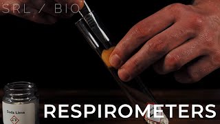 SRL  Bio Respirometers A level  IB biology [upl. by Releyks]