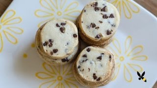 Chocolate Chip Shortbread Cookies Recipe [upl. by Doran]