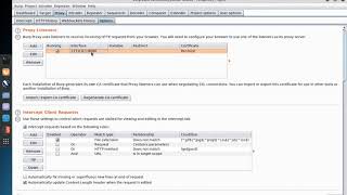 BurpSuite 2 Configure Firefox with Burp Suite [upl. by Kristen]