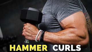 How To Do Hammer Curls for HUGE Biceps BICEP GROWTH [upl. by Wootten]