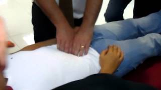 Osteopathy International course  Visceral Manipulation  Mesentry Technique [upl. by Burbank]