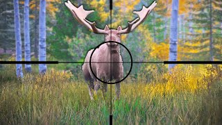 Hunting GIGANTIC Moose in Hunting Simulator 2 [upl. by Dearman]