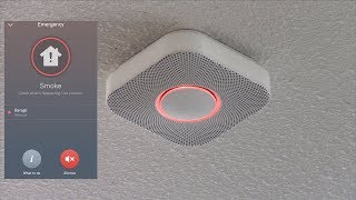 Testing the Nest Protect Smoke Alarm with Fire [upl. by Sankey]