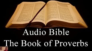 The Book of Proverbs  NIV Audio Holy Bible  High Quality and Best Speed Book 20 The Two Preachers [upl. by Keyek105]