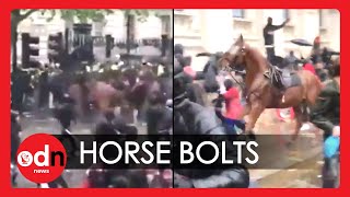 Police Officer Knocked Off Horse in Shocking Incident at London Protest [upl. by Assirec605]