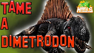 Ark How To Tame A Dimetrodon  Ark Survival Evolved [upl. by Suirauqram]