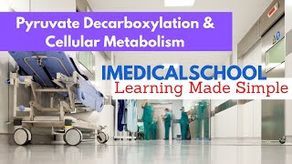 Pyruvate Decarboxylation  Cellular Metabolism Made Simple [upl. by Nica]