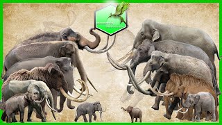 Elephants and Mammoths Size Comparison LİVİNG EXTİNCT [upl. by Eiralam628]