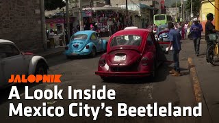 A Look Inside Mexico Citys Beetleland [upl. by Biamonte971]