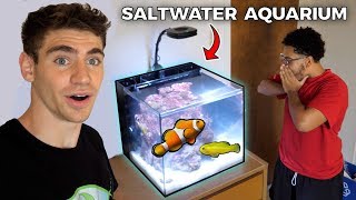 His DREAM SALTWATER AQUARIUM  College Tank [upl. by Lewej342]