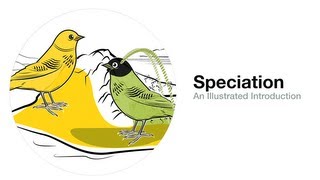 Speciation An Illustrated Introduction [upl. by Aihsekyw590]